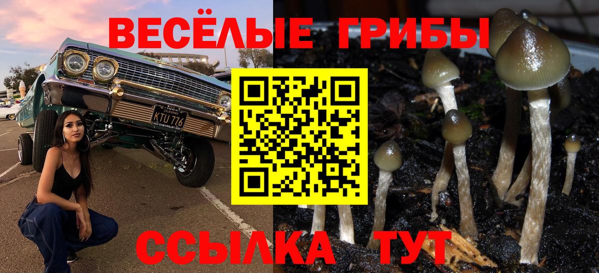 Галлюциногенные грибы ЛСД  Вход с VPN  Ярославль 
